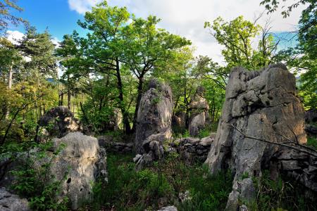 Živi muzej Krasa, foto Borut Lozej